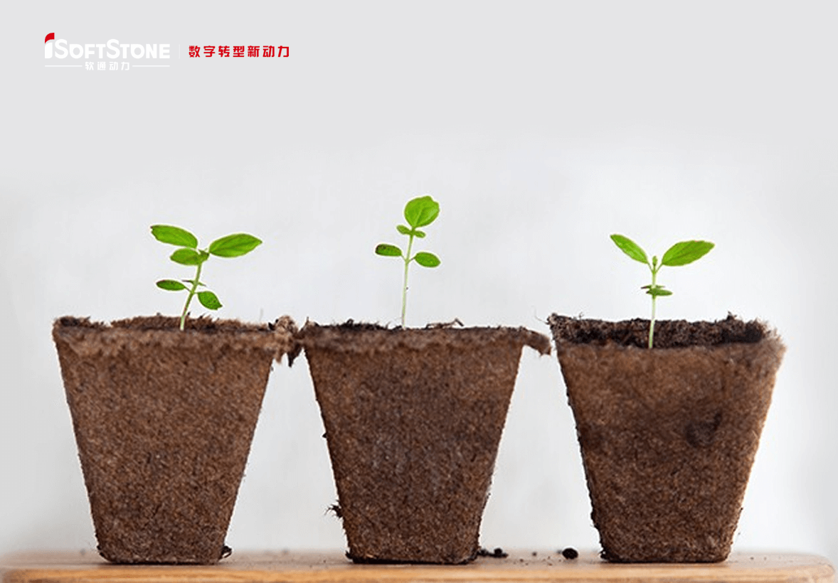 学術的継続可能の革命精神で地方の子供たちに愛を渡す——iSoftStoneは再び公共福祉教育を支援する。。。。